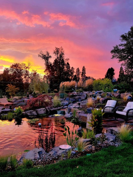 Koi Pond at Sunset Grants Pass Oregon Andreatta Waterscapes